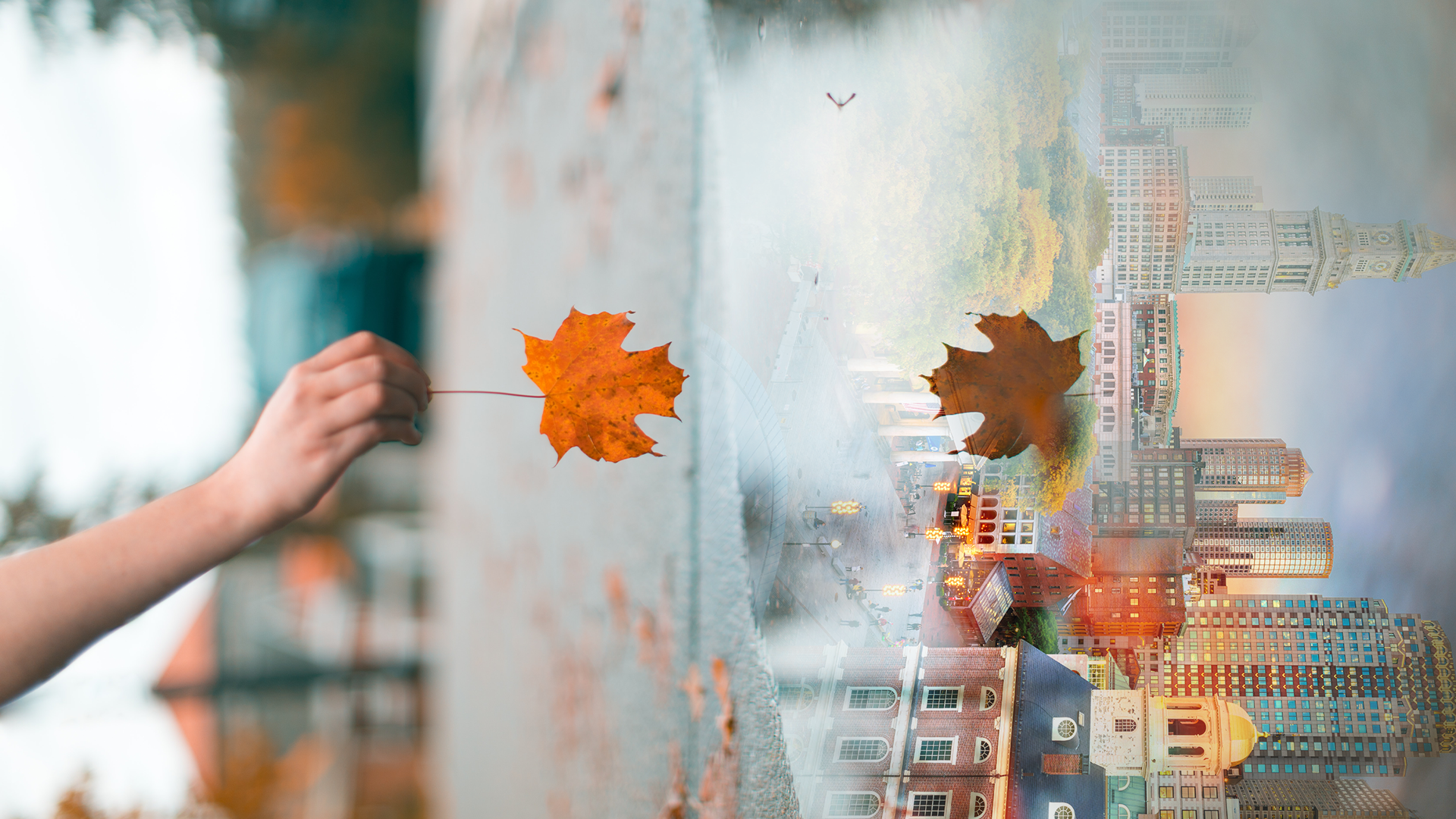 Autumn double exposure