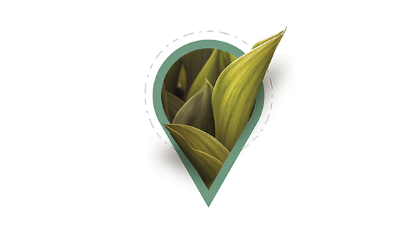Demand Gen Pin