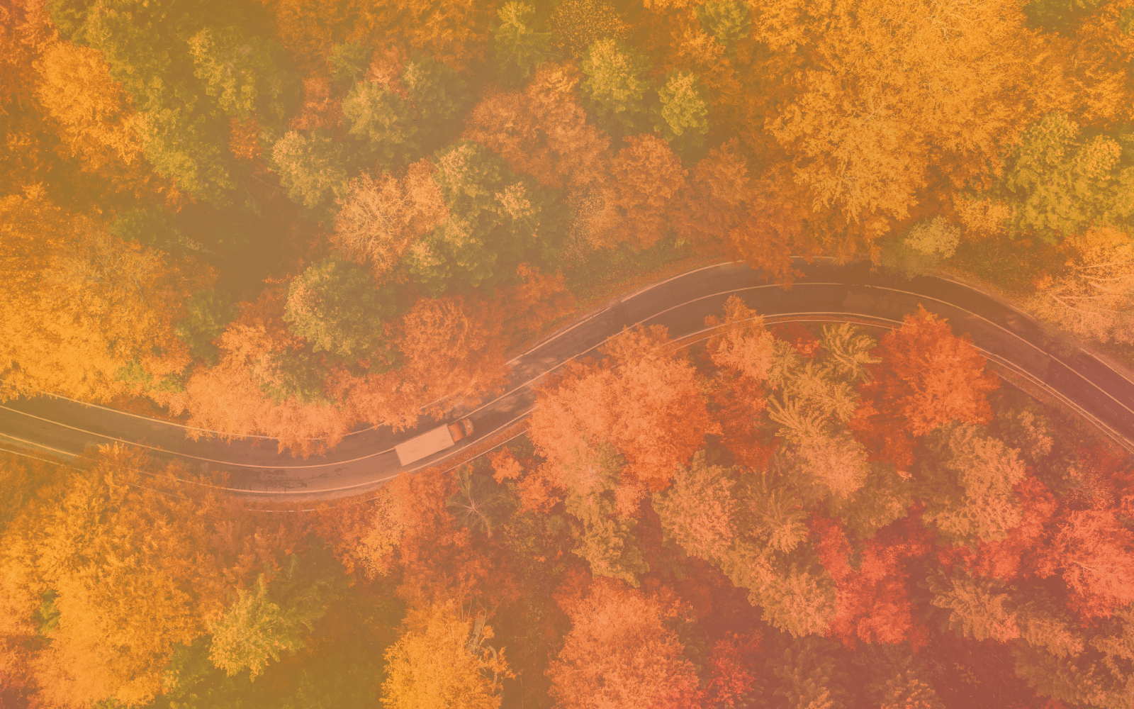 State-Header