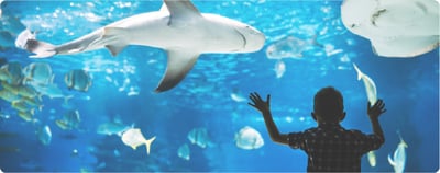 Aquarium