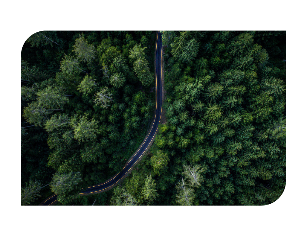 Big-Picture + Real-Time