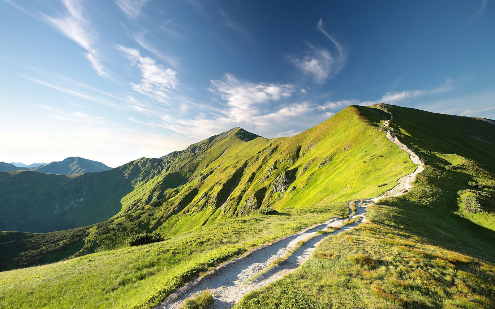 The PX team brings data to life and puts it into action, elevating Zartico’s Destination Operating System™ from a simple reporting tool to a complete strategic-planning solution.