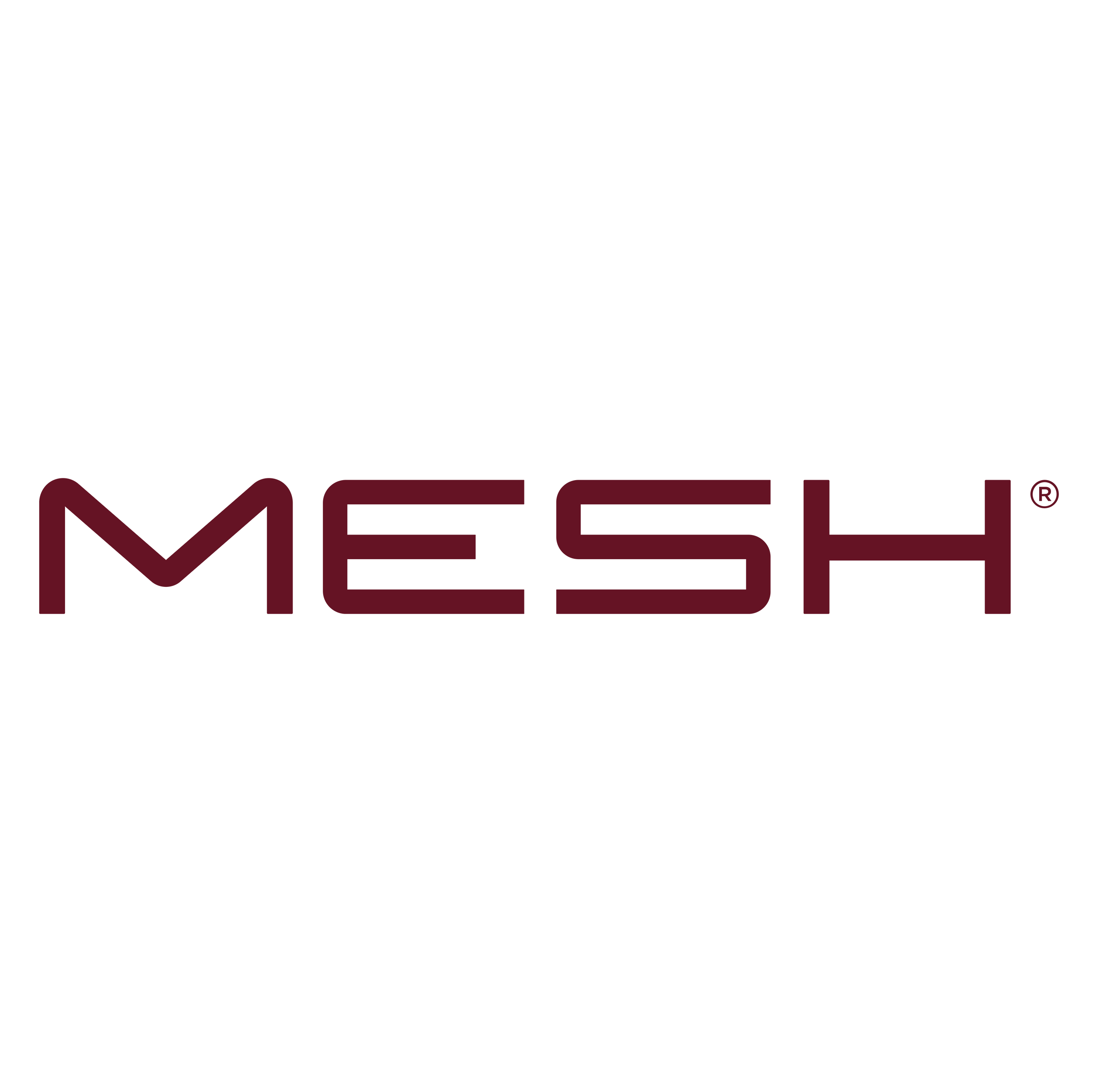 Mesh