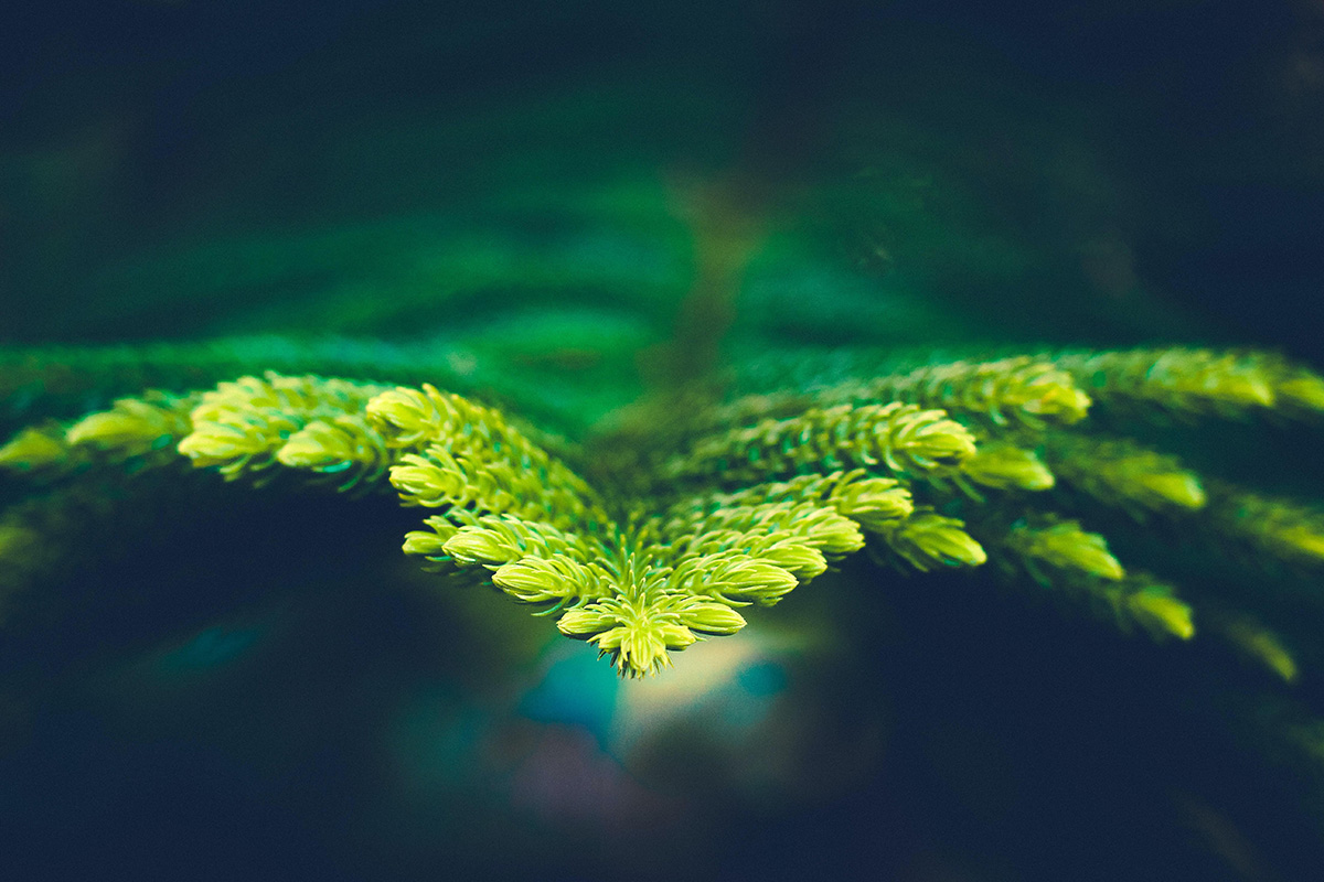 Zartico Header